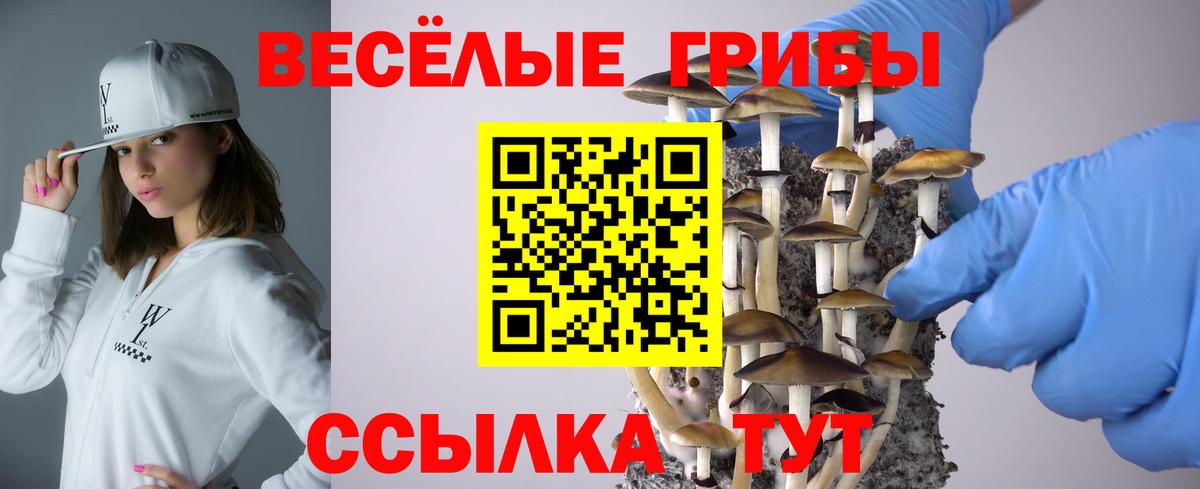 Луховицы  Псилоцибиновые грибы Psilocybe  Вход с VPN 